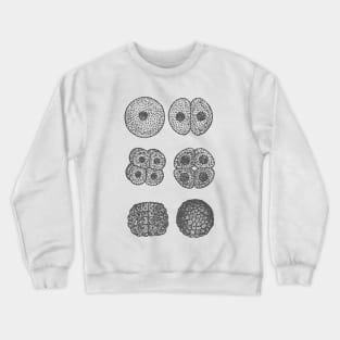 Embryogenesis Crewneck Sweatshirt